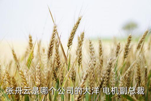 張舟云是哪個公司的大洋 電機(jī)副總裁