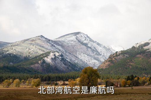 北部灣投資集團董事長