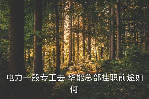 電力一般專(zhuān)工去 華能總部掛職前途如何