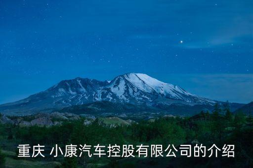 重慶 小康汽車(chē)控股有限公司的介紹