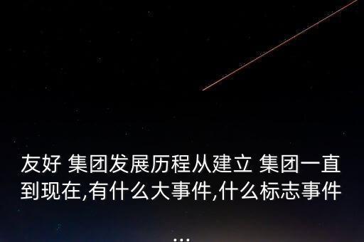 友好 集團發(fā)展歷程從建立 集團一直到現(xiàn)在,有什么大事件,什么標(biāo)志事件...