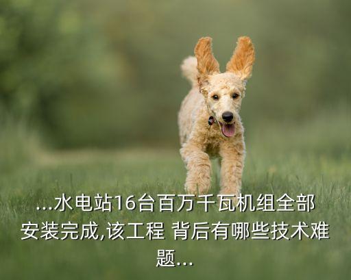 ...水電站16臺百萬千瓦機組全部安裝完成,該工程 背后有哪些技術難題...
