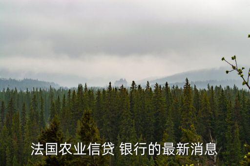 法國農(nóng)業(yè)信貸 銀行的最新消息