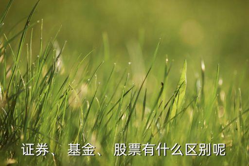 證券、 基金、 股票有什么區(qū)別呢