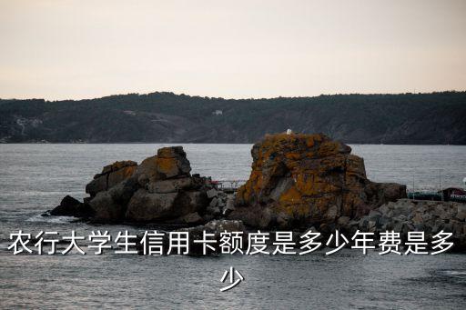 農(nóng)行大學(xué)生信用卡額度是多少年費是多少
