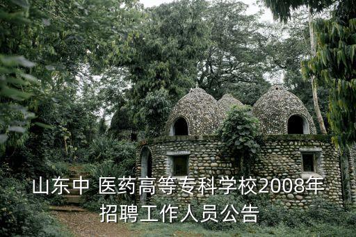 山東中 醫(yī)藥高等?？茖W(xué)校2008年 招聘工作人員公告