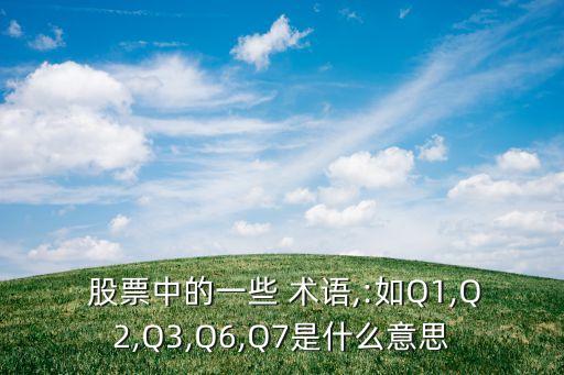 股票財(cái)務(wù)指標(biāo)術(shù)語(yǔ)及意義,股票里的每個(gè)術(shù)語(yǔ)有什么意義