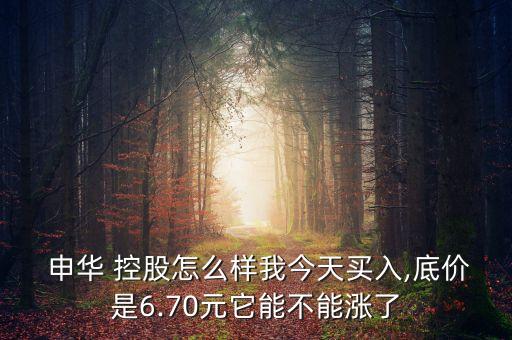  申華 控股怎么樣我今天買(mǎi)入,底價(jià)是6.70元它能不能漲了