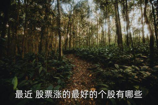 最近 股票漲的最好的個股有哪些