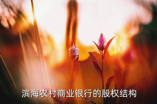  濱海農(nóng)村商業(yè)銀行的股權結構