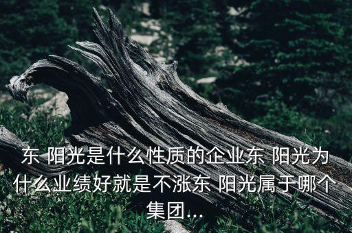東 陽光是什么性質(zhì)的企業(yè)東 陽光為什么業(yè)績好就是不漲東 陽光屬于哪個集團...