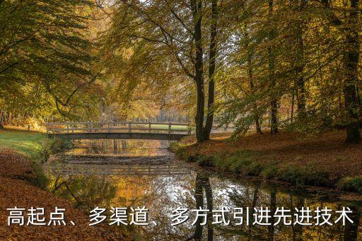 高起點、多渠道、多方式引進先進技術