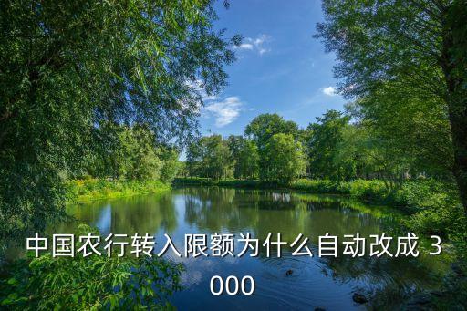 中國農行轉入限額為什么自動改成 3000