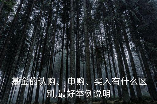 什么基金是申購(gòu)什么是買進(jìn)