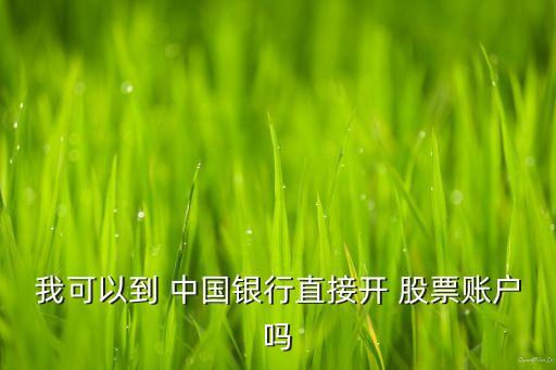 我可以到 中國(guó)銀行直接開(kāi) 股票賬戶(hù)嗎