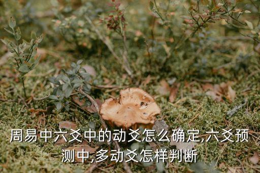 周易中六爻中的動爻怎么確定,六爻預測中,多動爻怎樣判斷