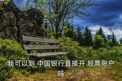 我可以到 中國(guó)銀行直接開(kāi) 股票賬戶(hù)嗎