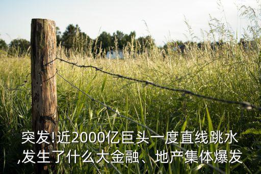 中南集團(tuán)營收,中南電力設(shè)計院營收