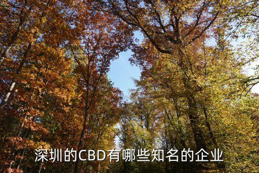 深圳市深寶技術中心有限公司
