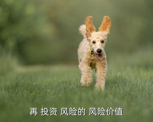 投資者由于冒風險進行投資而,投資有哪些風險