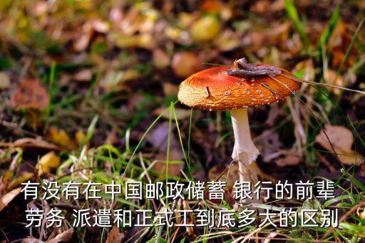 有沒有在中國郵政儲蓄 銀行的前輩 勞務 派遣和正式工到底多大的區(qū)別