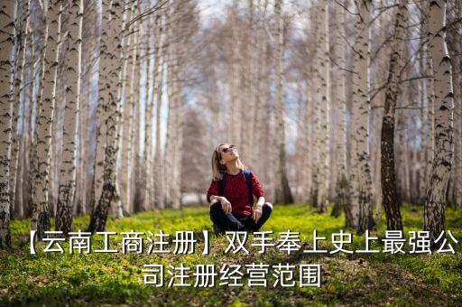 中國數碼信息有限公司財務報告,三一集團有限公司2022年財務報告