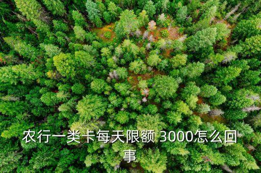 農行一類卡每天限額 3000怎么回事