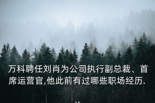  萬科聘任劉肖為公司執(zhí)行副總裁、首席運營官,他此前有過哪些職場經(jīng)歷...