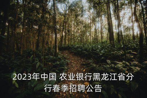 2023年中國(guó) 農(nóng)業(yè)銀行黑龍江省分行春季招聘公告