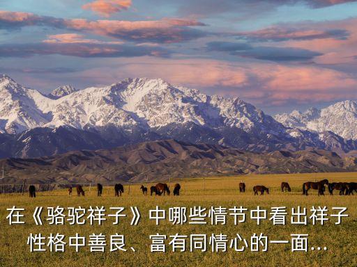 在《駱駝祥子》中哪些情節(jié)中看出祥子性格中善良、富有同情心的一面...