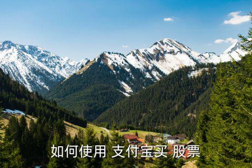 支付寶能買(mǎi)股票嗎,排名第一的炒股軟件