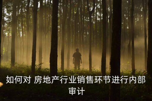 如何對 房地產(chǎn)行業(yè)銷售環(huán)節(jié)進(jìn)行內(nèi)部 審計