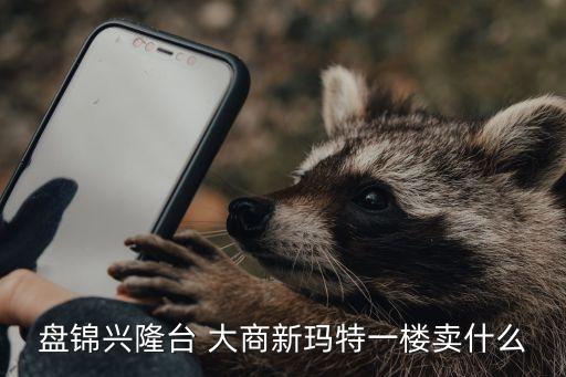 盤(pán)錦興隆臺(tái) 大商新瑪特一樓賣(mài)什么