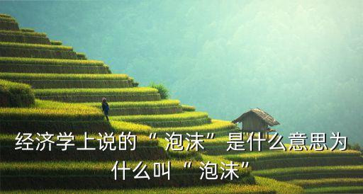 經(jīng)濟學(xué)上說的“ 泡沫”是什么意思為什么叫“ 泡沫”