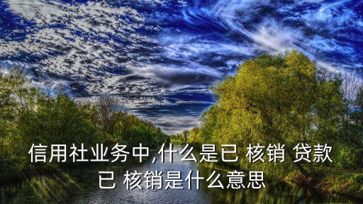 信用社業(yè)務中,什么是已 核銷 貸款已 核銷是什么意思