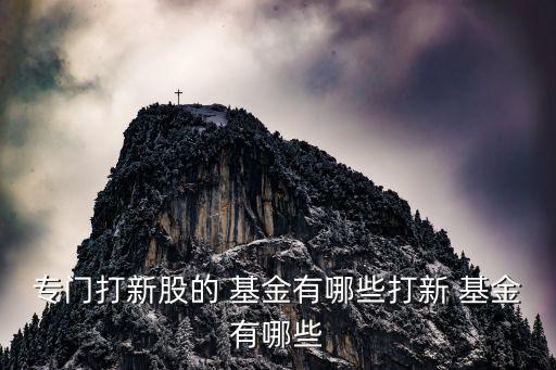 專門(mén)打新股的 基金有哪些打新 基金有哪些