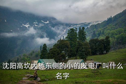 遼寧省大連春海熱電有限公司,大連泰山熱電有限公司是國(guó)企嗎