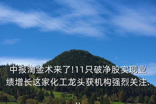中報淘金術來了!11只破凈股實現業(yè)績增長這家化工龍頭獲機構強烈關注...