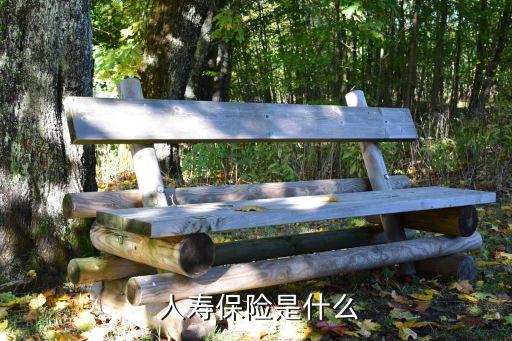 儲蓄險中國人民人壽,人民人壽學(xué)平險怎么報
