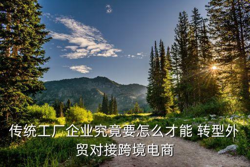 純貿易公司轉型,貿易公司轉型升級的案例