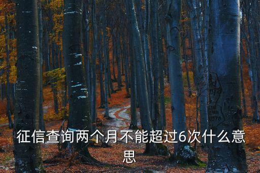  征信查詢(xún)兩個(gè)月不能超過(guò)6次什么意思