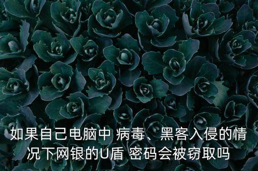 如果自己電腦中 病毒、黑客入侵的情況下網(wǎng)銀的U盾 密碼會被竊取嗎