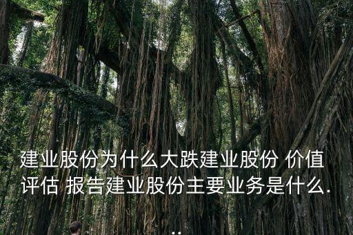 建業(yè)股份為什么大跌建業(yè)股份 價值 評估 報告建業(yè)股份主要業(yè)務是什么...