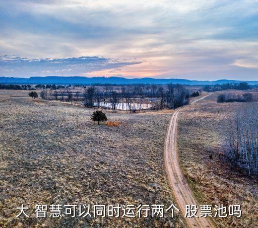 大 智慧可以同時運(yùn)行兩個 股票池嗎