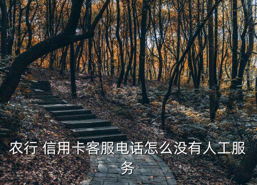 農(nóng)業(yè)銀行信用卡營銷與管理,申請農(nóng)業(yè)銀行信用卡營銷授權是什么意思