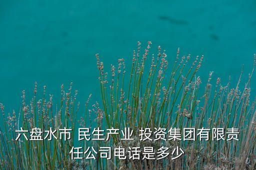 六盤水市 民生產業(yè) 投資集團有限責任公司電話是多少