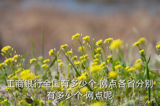 工商銀行全國有多少個(gè) 網(wǎng)點(diǎn)各省分別有多少個(gè) 網(wǎng)點(diǎn)呢