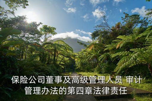  保險(xiǎn)公司董事及高級(jí)管理人員 審計(jì)管理辦法的第四章法律責(zé)任