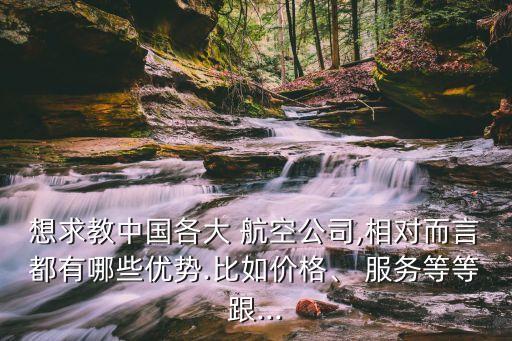 想求教中國(guó)各大 航空公司,相對(duì)而言都有哪些優(yōu)勢(shì).比如價(jià)格、 服務(wù)等等跟...