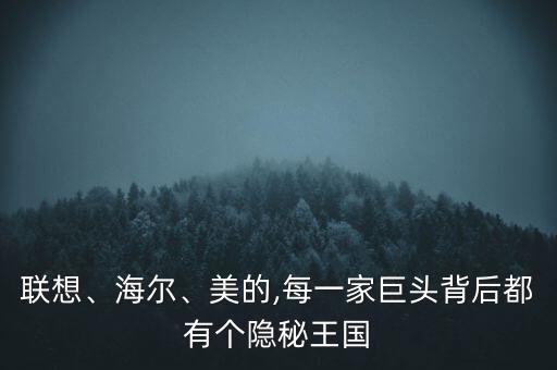 聯(lián)想、海爾、美的,每一家巨頭背后都有個隱秘王國